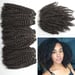 Image of Queen kinky curl