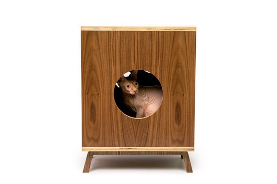 Image of Modern Pet Feeder