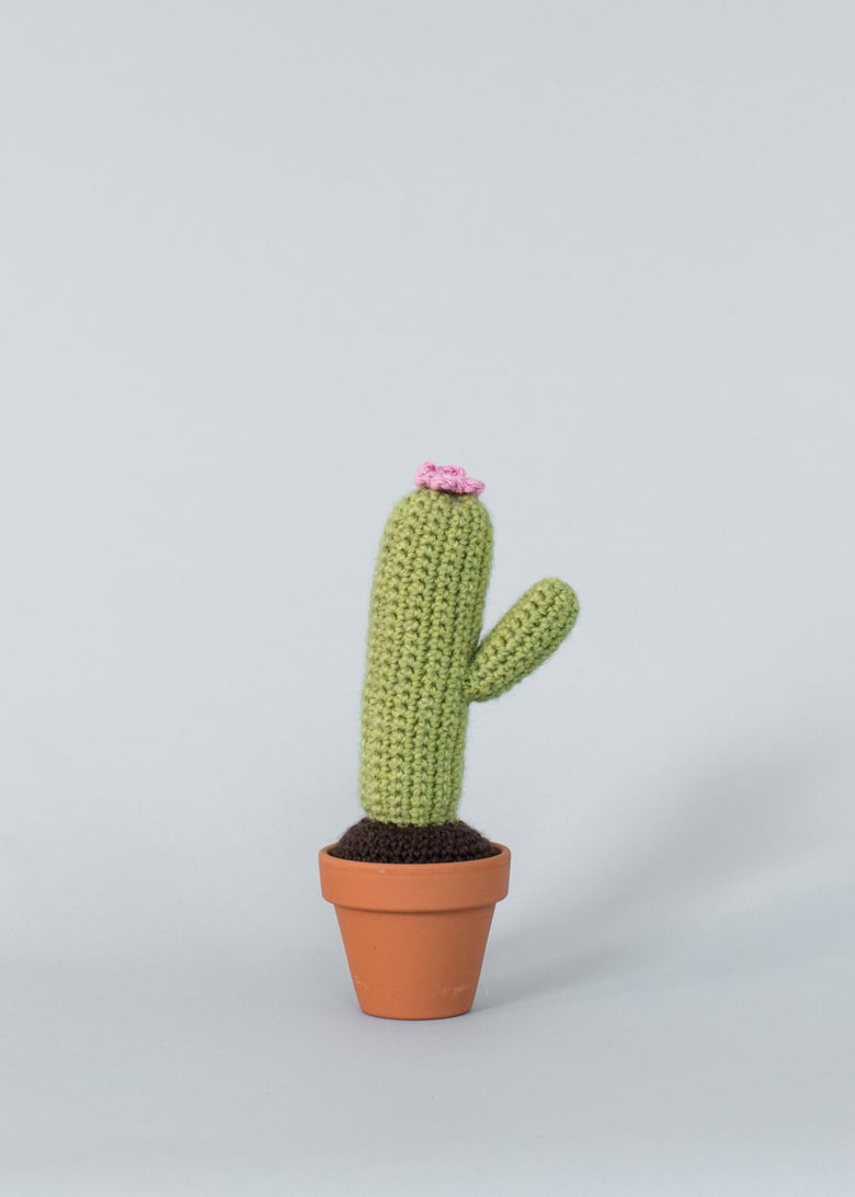 Image of 1 arm cactus