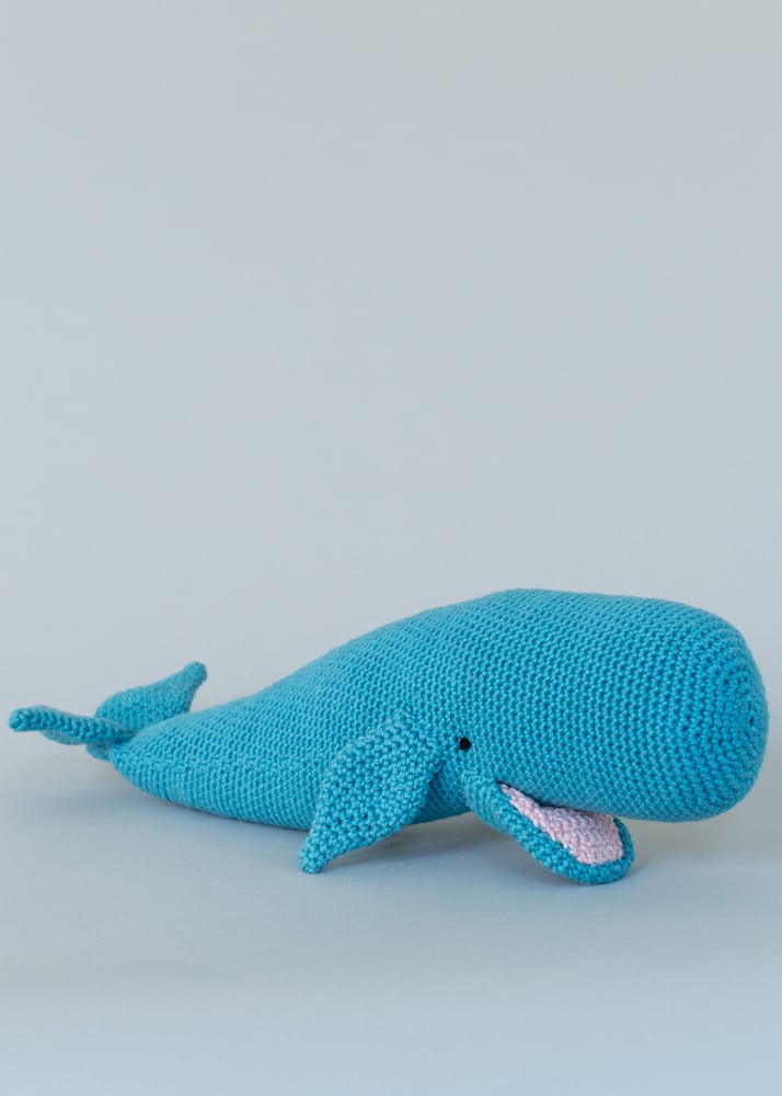 Image of Willow the Whale