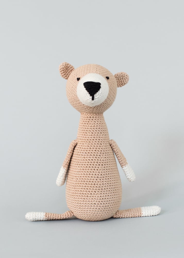 Image of Bailey the bear