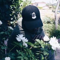 Image 5 of LIGHT + DARK CAP
