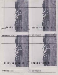 53 Birds of Detroit