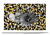 Image 2 of Camouflage red lion