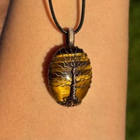 Image 2 of Tigers Eye Tree 🌳🤎