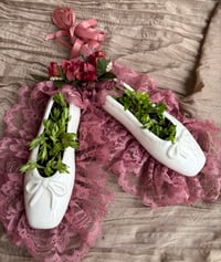 Image 1 of Stringy Stonecrop in Porcelain Ballet Shoes