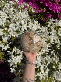 Image 1 of XXL BEAUTIFULLY BANDED MEXICAN LACE AGATE SPHERE