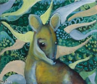 Wallaby