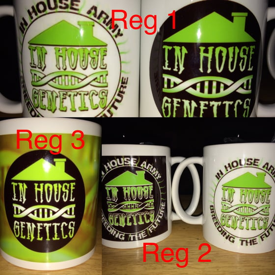 Image of IHG Reg Style Mug