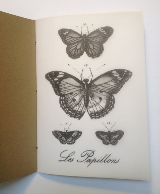 Image of Petit Cahier - Butterfly
