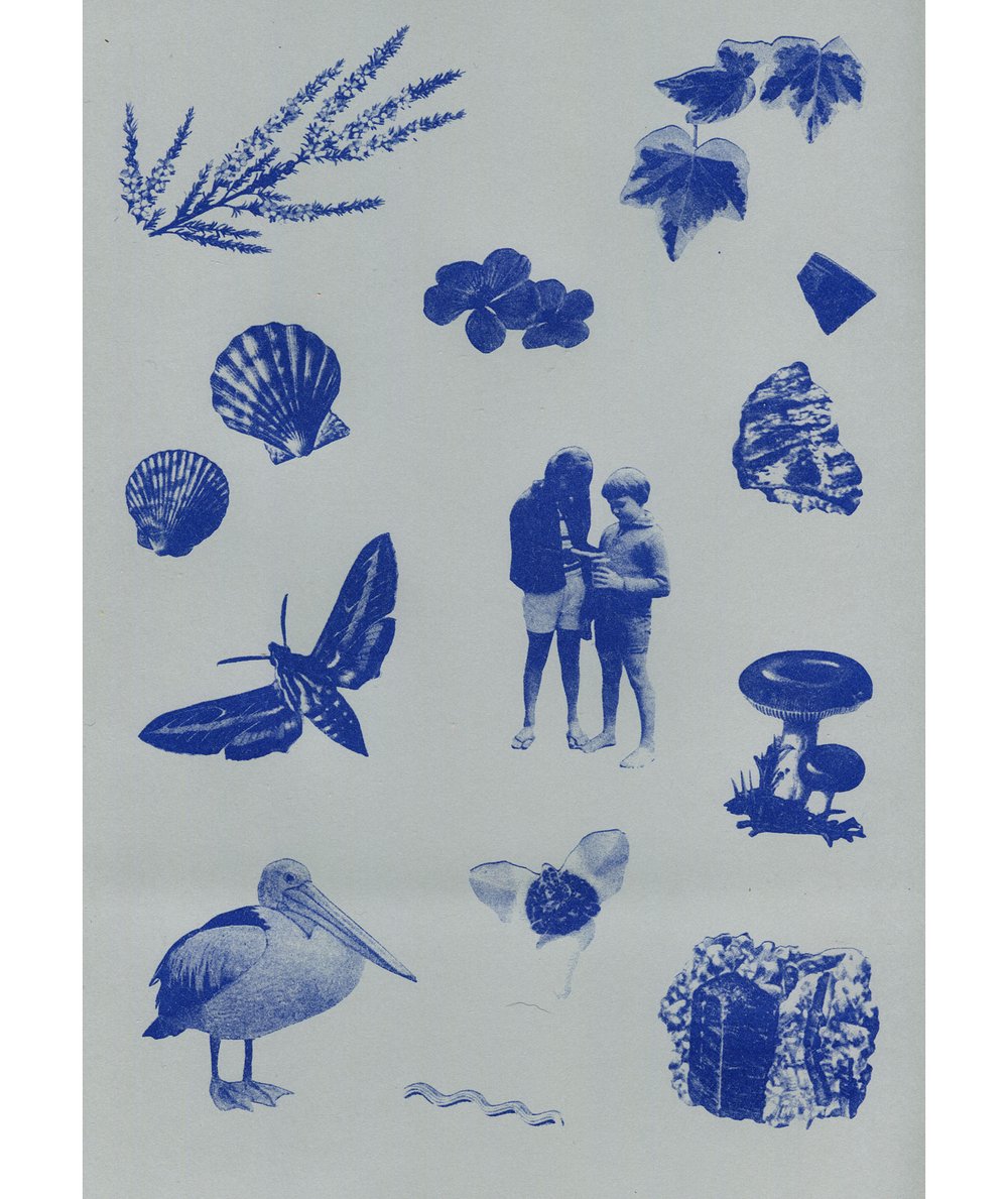 Image of Nature Camp Risograph Poster