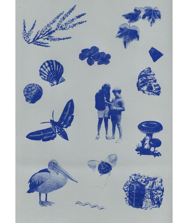 Image of Nature Camp Risograph Poster