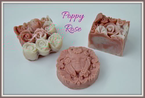Image of Poppy Rose