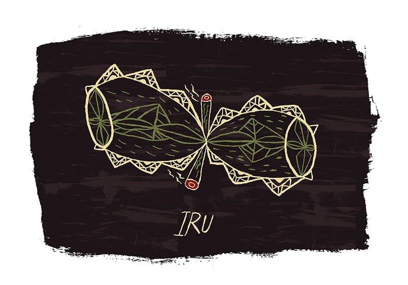 Image of IRU
