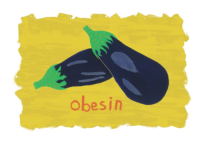 Image of OBESIN