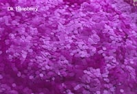 Matte Hex Glitter (.060")