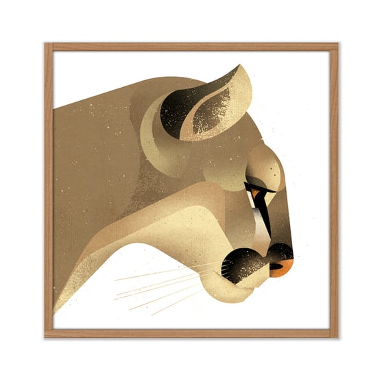 Image of Puma Portrait