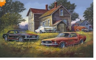 Image of BACKYARD MUSTANGS