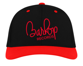 Image of Barhop Records Snapback