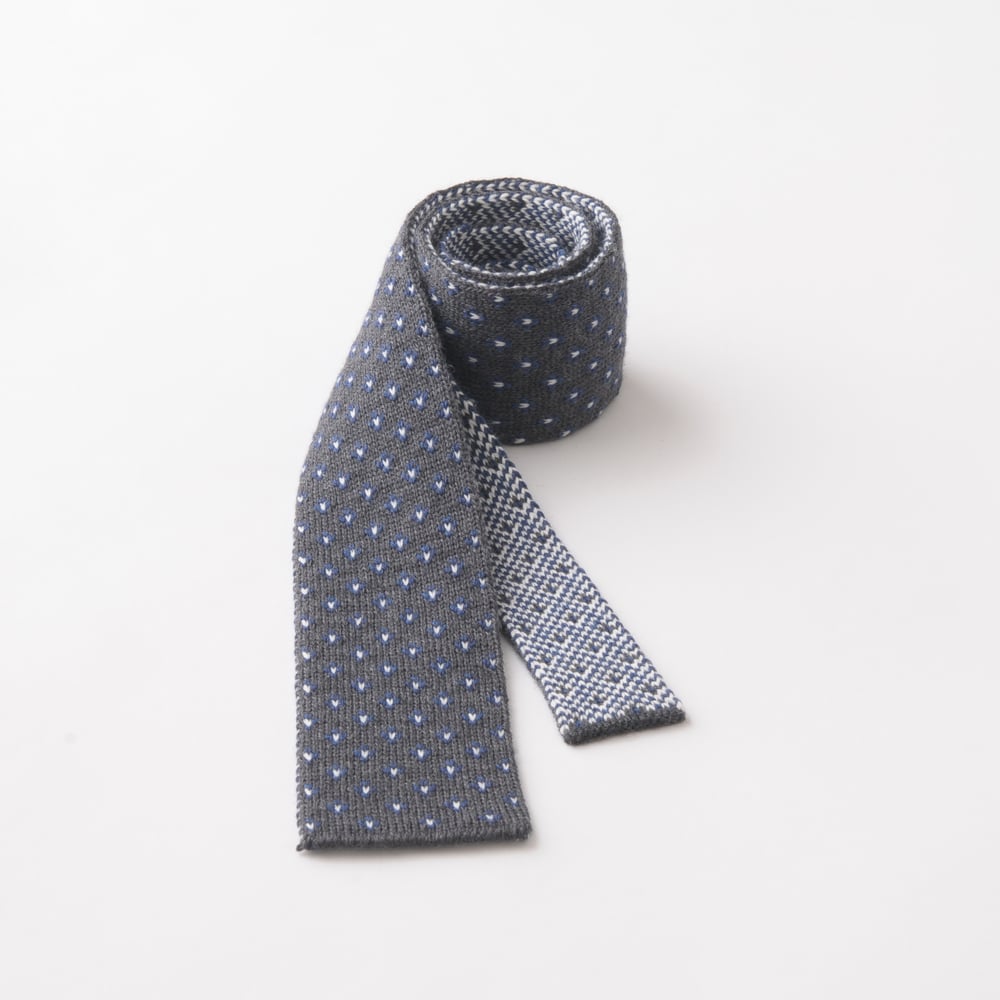 Image of Flee Dots Tie in Grey x Blue