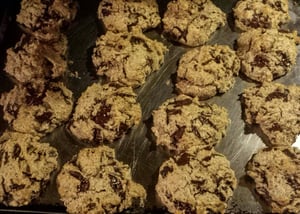 Image of Tea-Rex Paleo Cookies - 12 cookies
