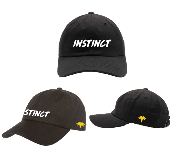 Image of Team Instinct Cap