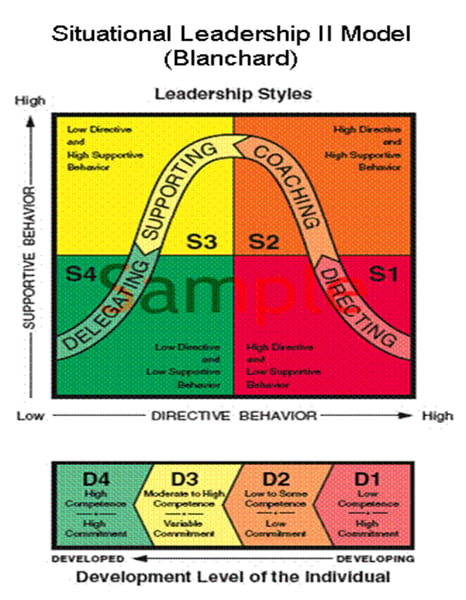 Image of MKTG 415 Situational Leadership Kit