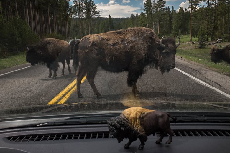 Image of Yellowstone I