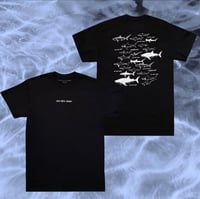 Image 1 of Coexist T-Shirt Large Earth Day