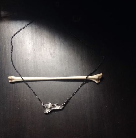 Image of Rattus norvegicus mandible: Rat bone necklace