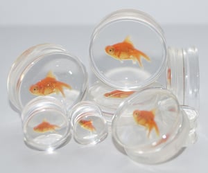 Image of Clear Acrylic Goldfish Flesh Plugs