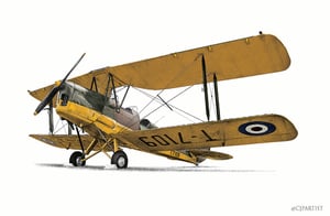 Image of de Havilland Tiger Moth. From £28