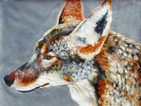 Image of Fine Art Giclee print reproduction of original Coyote painting by Natalie Wright