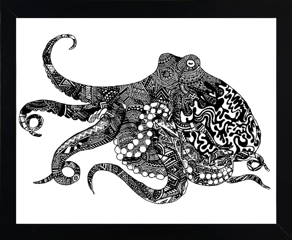 Image of Cephalopod