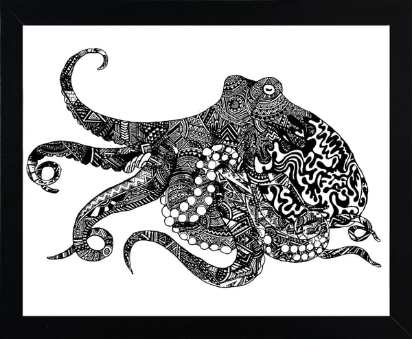 Image of Cephalopod