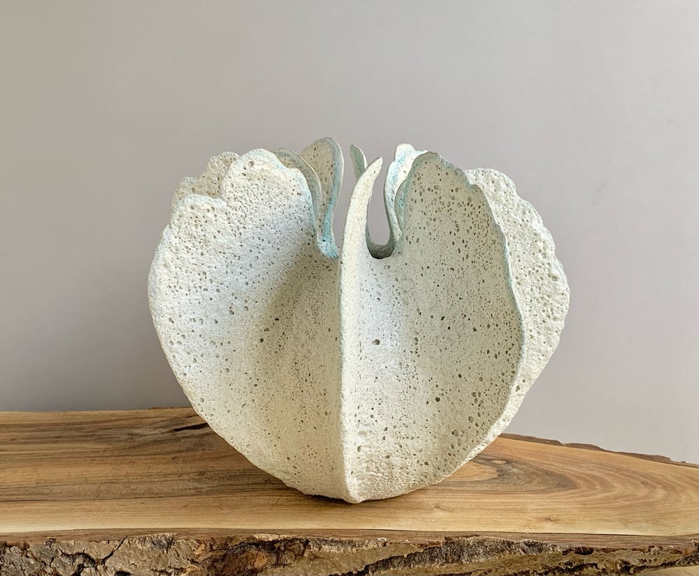 Image of Seaflower 2