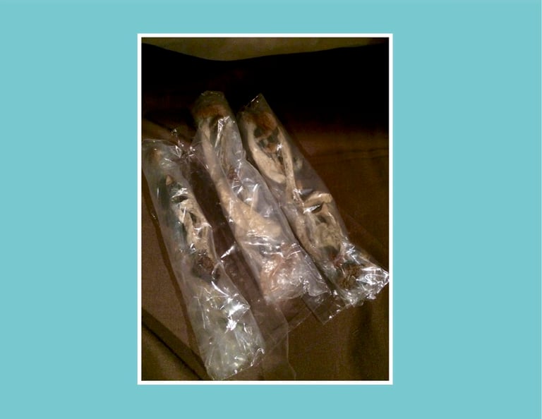 Celebrate The Struggle Vol. 2 Image 2