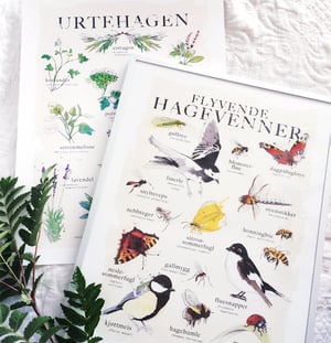 Image of 'Flyvende hagevenner'