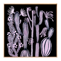 Image 1 of Pink Cacti