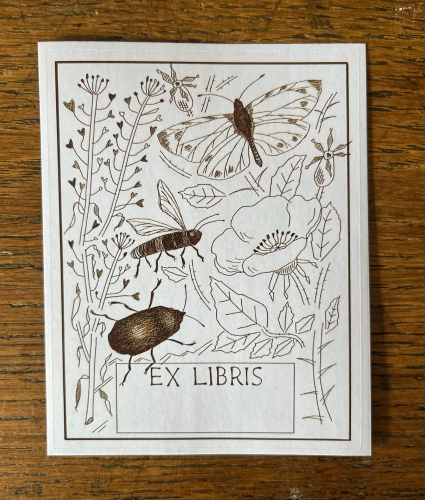 Image of Bookplate pack, sepia 