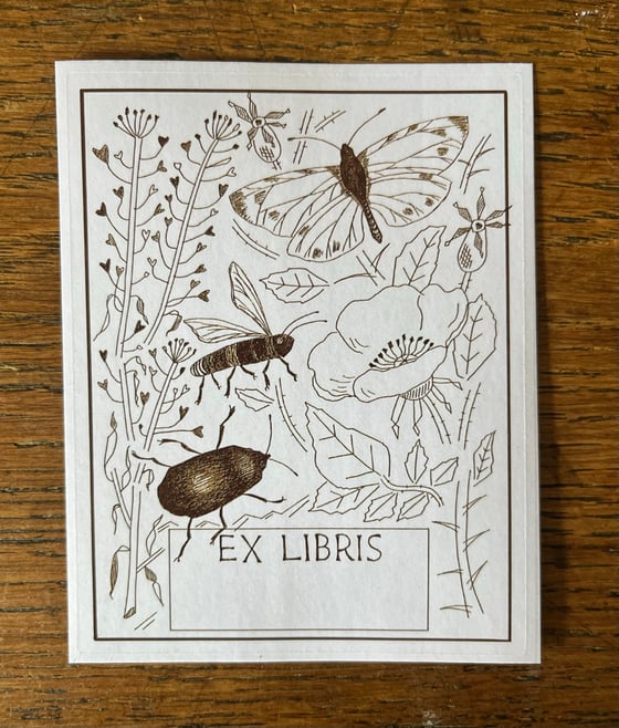 Image of Bookplate pack, sepia 