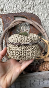 Image 4 of Treasure Pods 