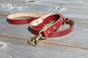 Kodi Boxer Double Handle Leather Dog Lead