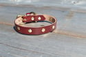 Betty Boxer Leather Dog/Cat Collar
