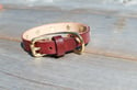 Betty Boxer Leather Dog/Cat Collar