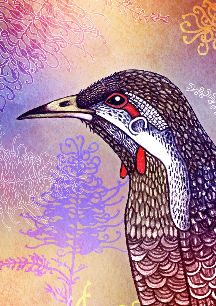 Image of Wattlebird - A4 Giclée art print on HAHNEMUHLE photo rag paper