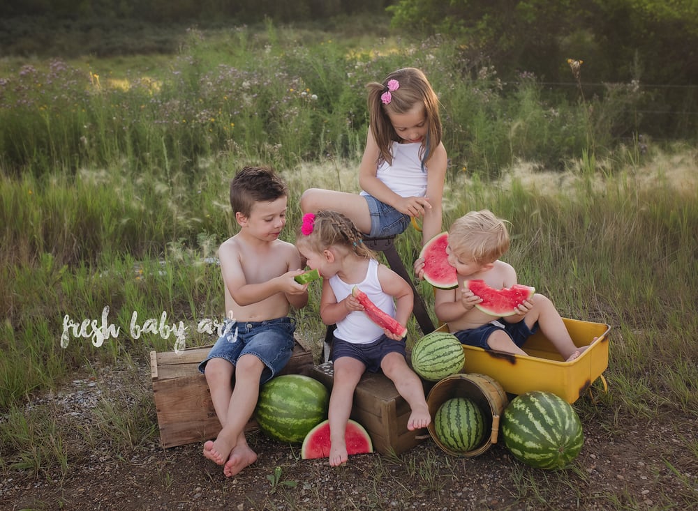 Image of Watermelon Mini Session