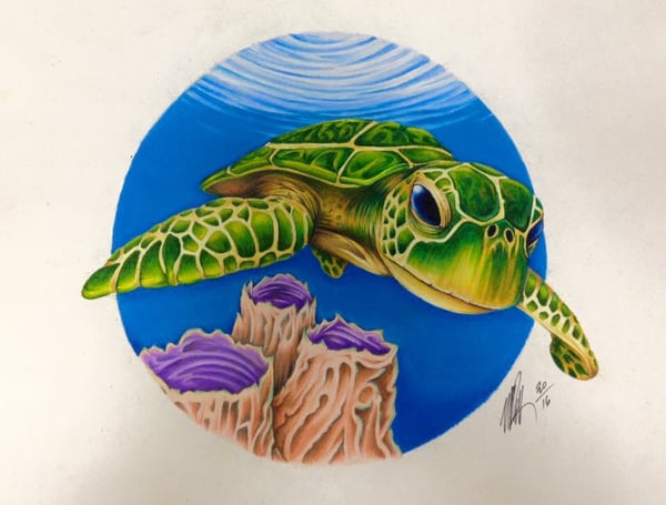 Image of Sea Turtle Print
