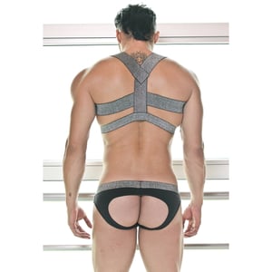 Image of FIT SILVER HARNESS