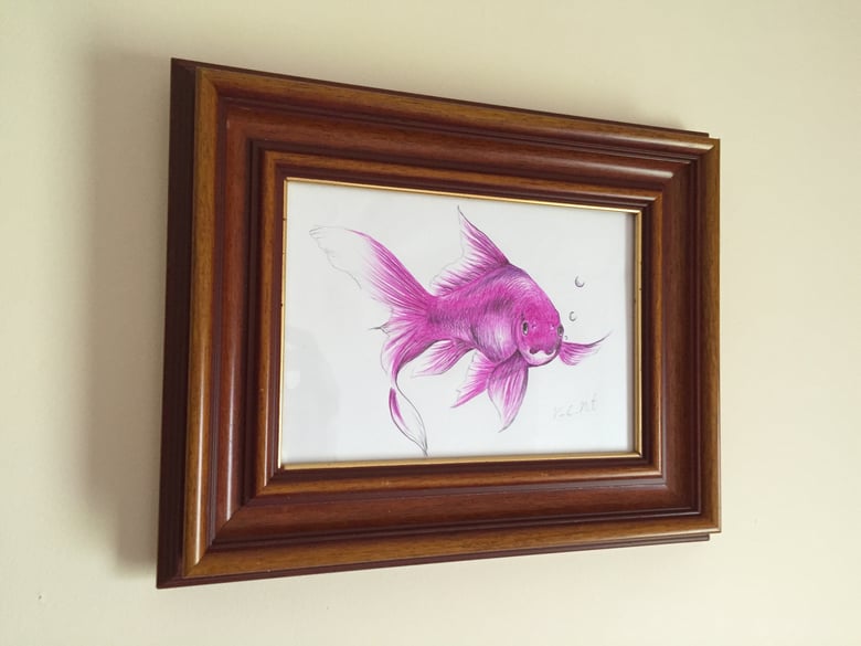 Image of Purple goldfish